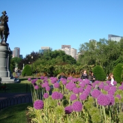 Boston Public Gardens