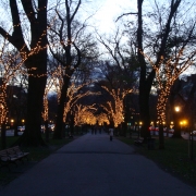Commonwealth Avenue Mall