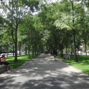 Commonwealth Avenue Mall