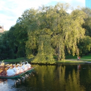 Boston Public Gardens