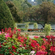 Boston Public Gardens